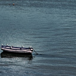 image river boat gulls mage